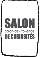 Couverture livre Salon-de-Provence